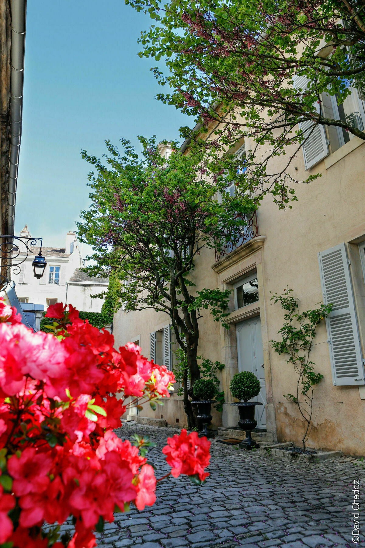 La Cour Berbisey - Teritoria Otel Dijon Dış mekan fotoğraf