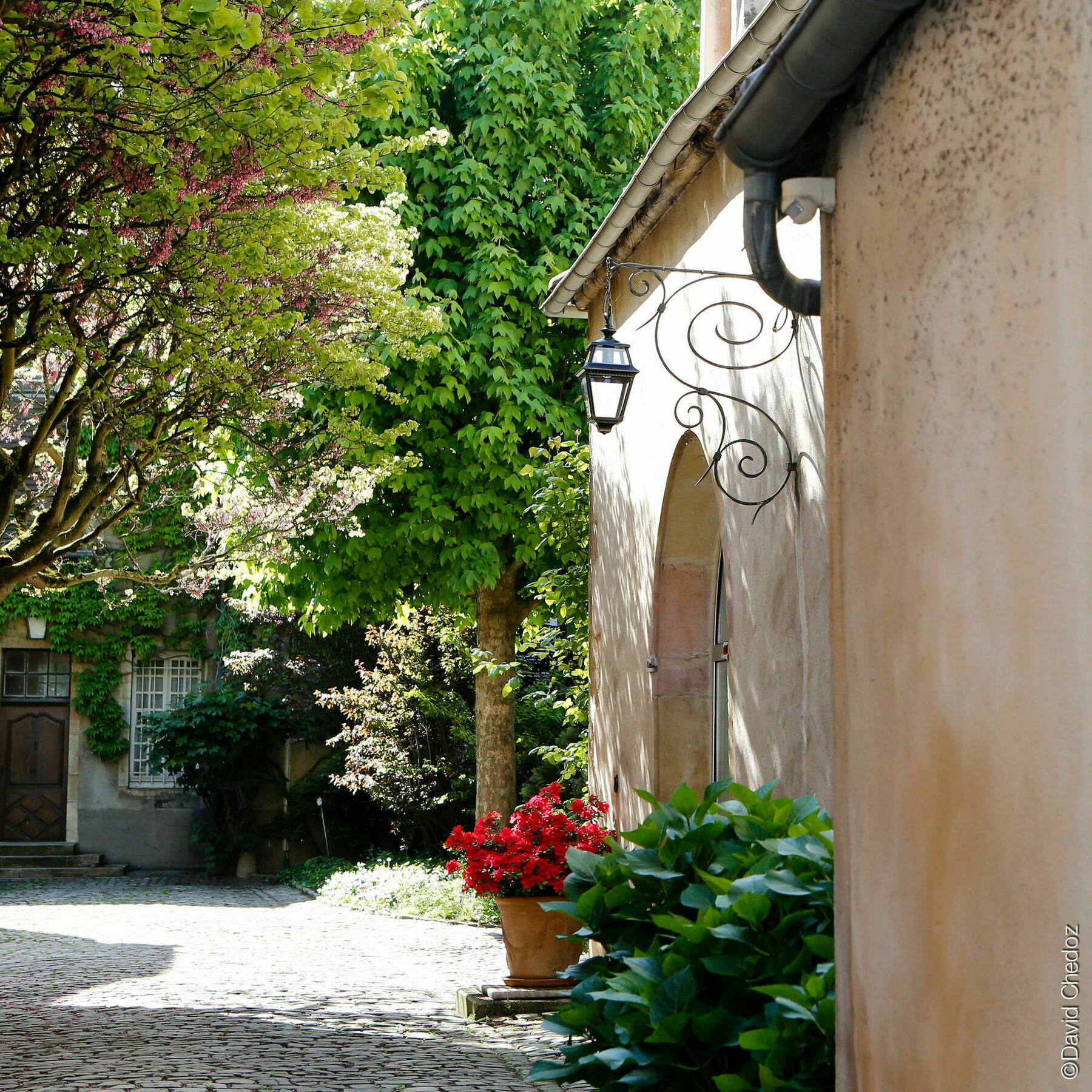 La Cour Berbisey - Teritoria Otel Dijon Dış mekan fotoğraf